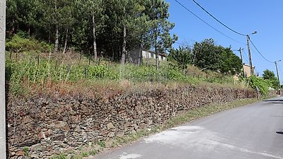 Terreno à venda em Campeã, Vila Real