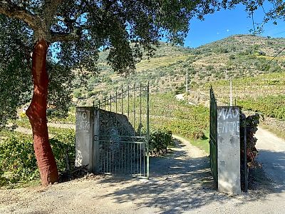 Quinta à venda em Vila Seca e Santo Adrião, Armamar