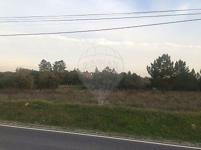 Terreno à venda em Coruche, Fajarda e Erra, Coruche