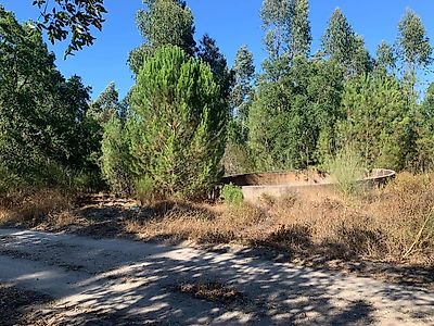 Terreno à venda em Coruche, Fajarda e Erra, Coruche