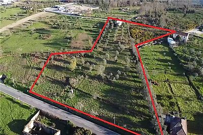 Quinta T1 à venda em Santa Ovaia e Vila Pouca da Beira, Oliveira do Hospital