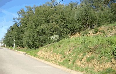 Terreno à venda em Arganil, Arganil