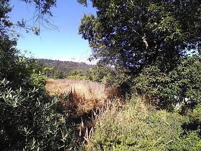 Terreno à venda em Santa Cruz da Trapa e São Cristóvão de Lafões, São Pedro do Sul
