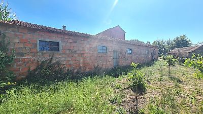 Terreno à venda em Cedrim e Paradela, Sever do Vouga
