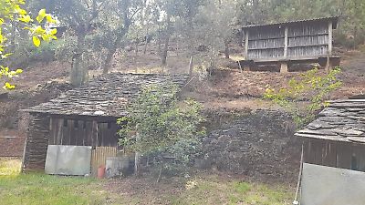 Terreno à venda em São Martinho das Moitas e Covas do Rio, São Pedro do Sul