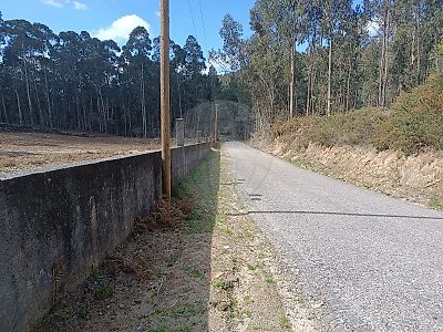 Terreno à venda em Moreira do Castelo, Celorico de Basto