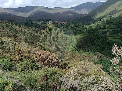 Terreno à venda em Teixeira e Teixeiró, Baião