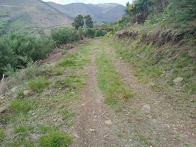 Terreno à venda em Teixeira e Teixeiró, Baião