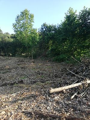 Terreno à venda em São Martinho Recezinhos, Penafiel
