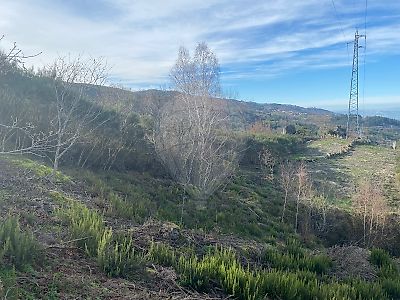 Terreno à venda em Bustelo, Carneiro e Carvalho de Rei, Amarante