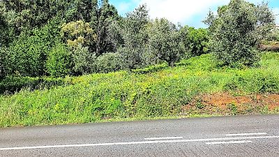 Terreno à venda em Luso, Mealhada