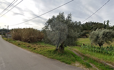 Terreno à venda em Souselas e Botão, Coimbra