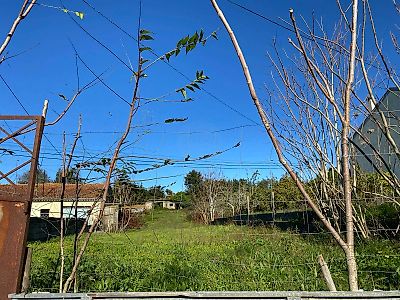 Terreno à venda em São Martinho de Árvore e Lamarosa, Coimbra