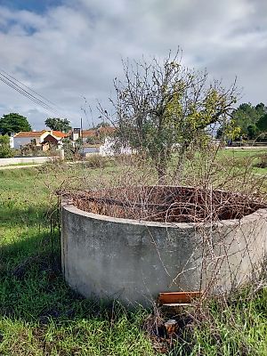 Terreno à venda em Santana do Mato, Coruche