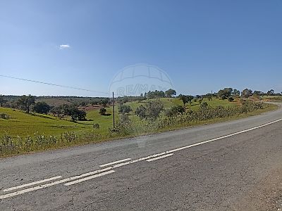 Terreno à venda em Serpa (Salvador e Santa Maria), Serpa