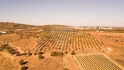 Terreno à venda em Serpa (Salvador e Santa Maria), Serpa