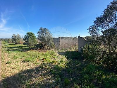 Terreno à venda em Almoster, Santarém
