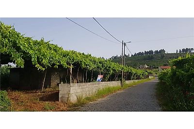 Terreno à venda em Vila Cova da Lixa e Borba de Godim, Felgueiras