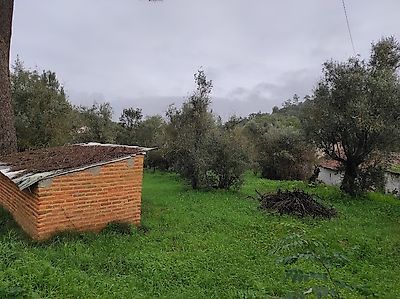 Terreno à venda em Santa Margarida da Coutada, Constância