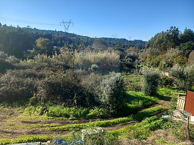 Terreno à venda em Gavião e Atalaia, Gavião