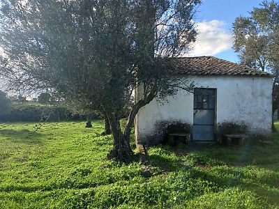 Terreno à venda em Alpalhão, Nisa
