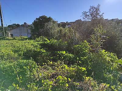 Terreno à venda em Santa Margarida da Coutada, Constância