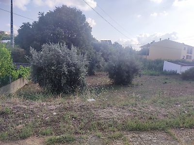 Terreno à venda em Abrantes (São Vicente e São João) e Alferrarede, Abrantes