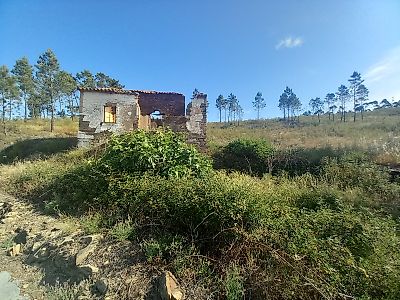 Terreno à venda em Envendos, Mação