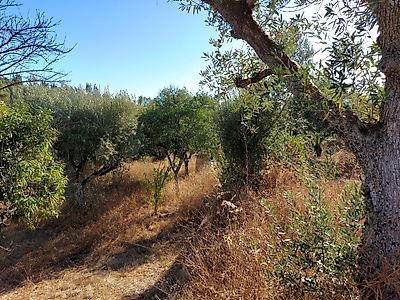 Terreno à venda em Mouriscas, Abrantes
