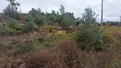 Terreno à venda em Mouriscas, Abrantes