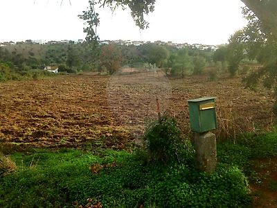 Terreno à venda em Montargil, Ponte de Sor