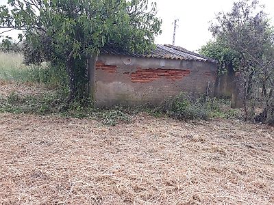Terreno à venda em Pego, Abrantes