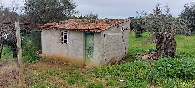 Terreno à venda em Mouriscas, Abrantes