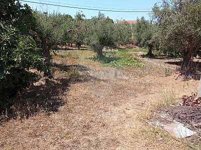 Terreno à venda em Comenda, Gavião
