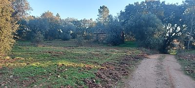 Terreno à venda em Mouriscas, Abrantes