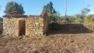 Quinta à venda em Mouriscas, Abrantes