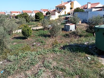 Terreno à venda em São Miguel do Rio Torto e Rossio ao Sul do Tejo, Abrantes