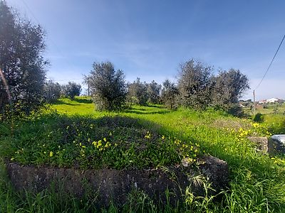 Terreno à venda em Mouriscas, Abrantes