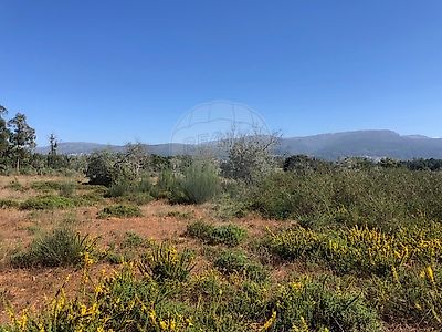 Terreno à venda em Carragozela e Várzea de Meruge, Seia