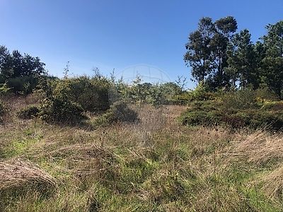 Terreno à venda em Santiago, Seia