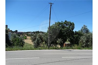 Terreno à venda em Cernache do Bonjardim, Nesperal e Palhais, Sertã