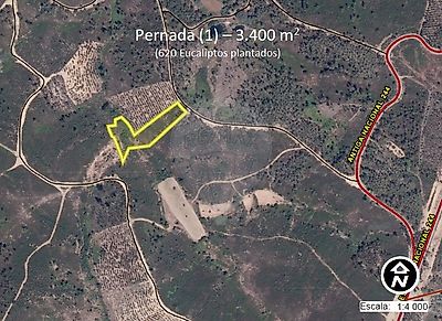 Terreno à venda em Vila de Rei, Vila de Rei