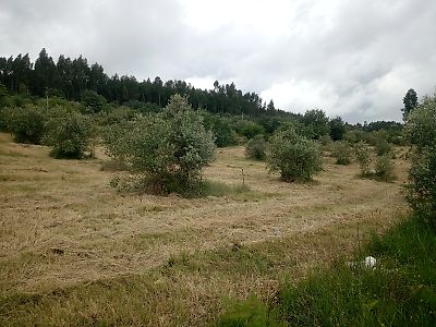 Terreno à venda em Pussos São Pedro, Alvaiázere