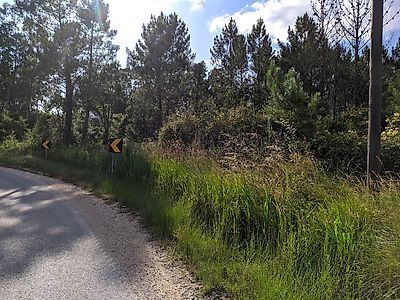 Terreno à venda em Serra e Junceira, Tomar