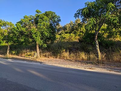 Terreno à venda em Tomar (São João Baptista) e Santa Maria dos Olivais, Tomar