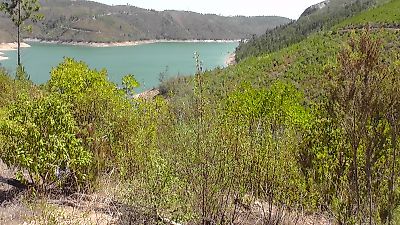 Terreno à venda em Ferreira do Zêzere, Ferreira do Zêzere