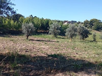Terreno à venda em Beco, Ferreira do Zêzere