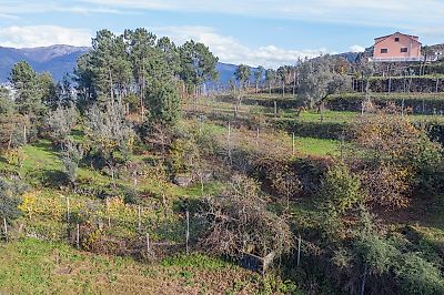 Terreno à venda em Verim, Friande e Ajude, Póvoa de Lanhoso