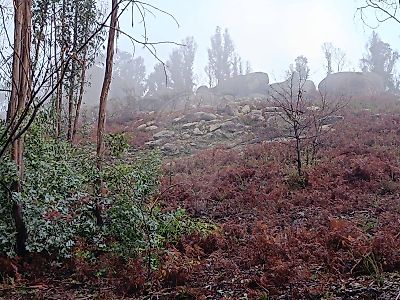 Terreno à venda em Anissó e Soutelo, Vieira do Minho