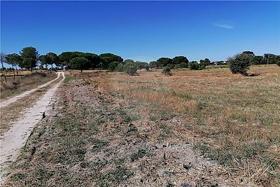 Terreno à venda em Pegões, Montijo